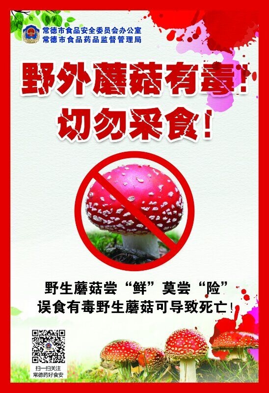 QQ图片20180615140014.jpg